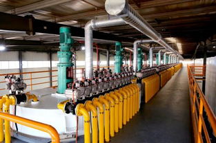 韦尔斯4.0智慧工厂震撼经销商，技术开发共创新篇章