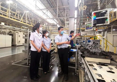 减税费优服务，税务部门助力企业扬帆海外高质量发展